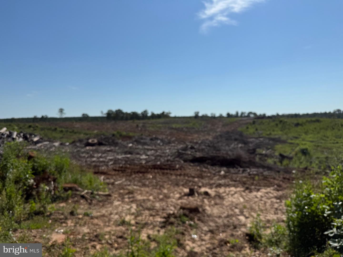 TBD CARY SHOP RD, BURKEVILLE, Virginia 23922, ,Farm,For sale,TBD CARY SHOP RD,VANW2000060 MLS # VANW2000060