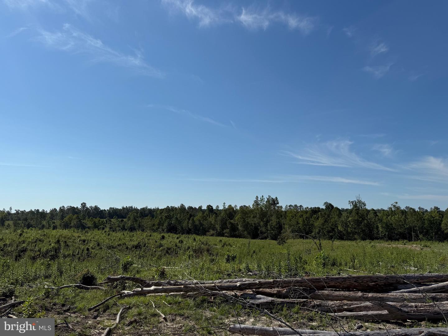 TBD CARY SHOP RD, BURKEVILLE, Virginia 23922, ,Farm,For sale,TBD CARY SHOP RD,VANW2000060 MLS # VANW2000060