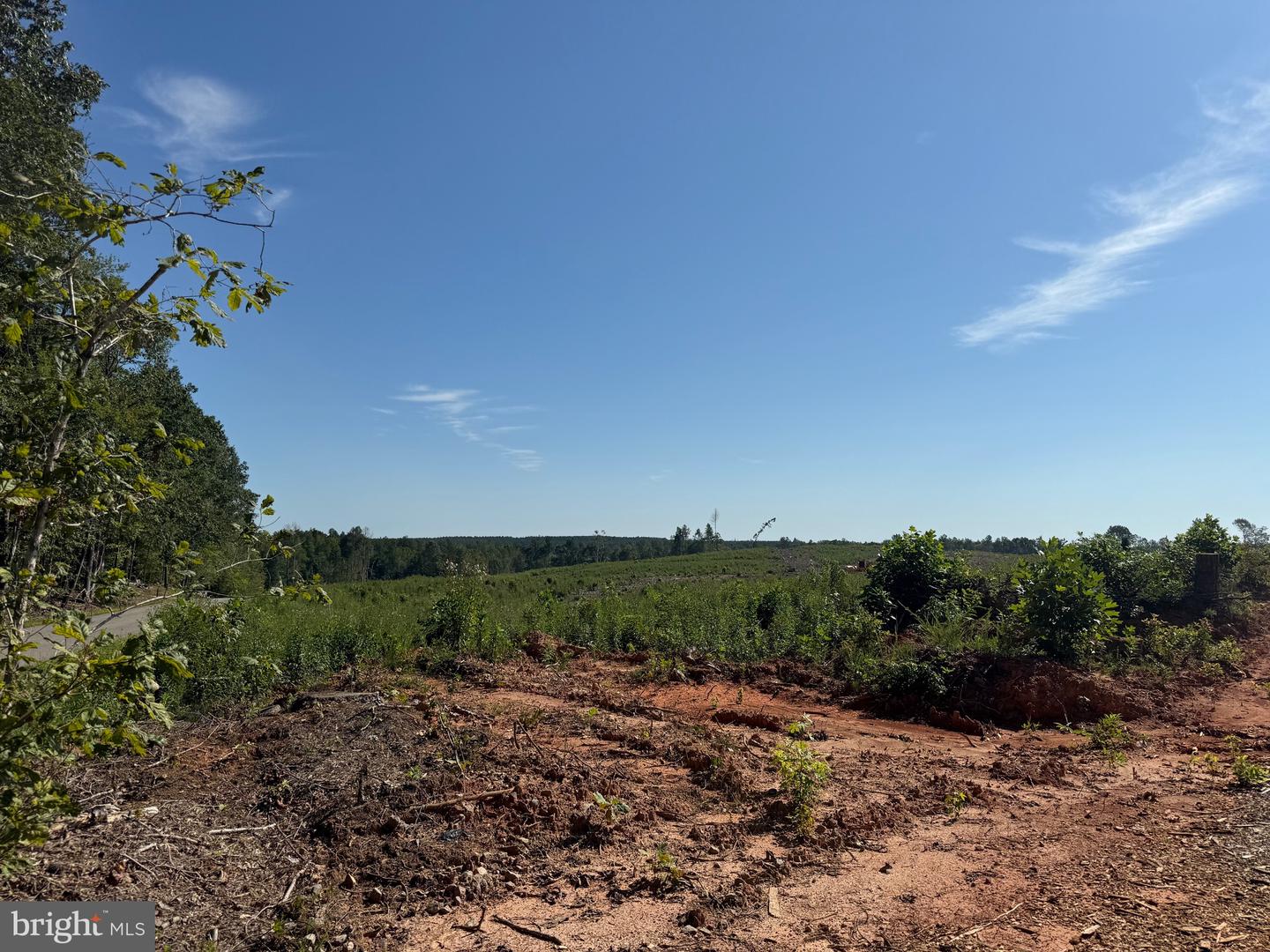 TBD CARY SHOP RD, BURKEVILLE, Virginia 23922, ,Farm,For sale,TBD CARY SHOP RD,VANW2000060 MLS # VANW2000060