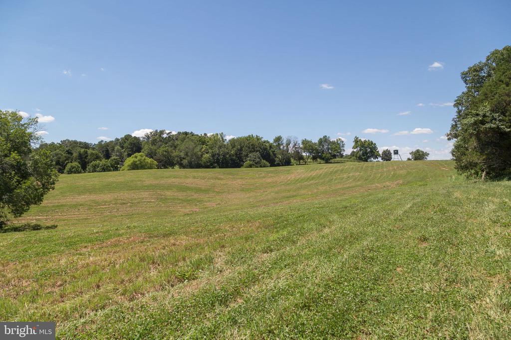 240 STONELEIGH RD, PALMYRA, Virginia 22963, 6 Bedrooms Bedrooms, ,4 BathroomsBathrooms,Residential,240 STONELEIGH RD,VAFN2000496 MLS # VAFN2000496