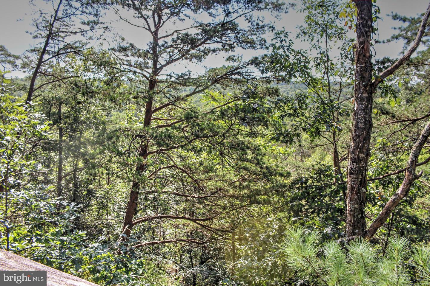 198 HOODS POINT RD, BASYE, Virginia 22810, 3 Bedrooms Bedrooms, 5 Rooms Rooms,2 BathroomsBathrooms,Residential,For sale,198 HOODS POINT RD,VASH2012208 MLS # VASH2012208 198 HOODS POINT RD, BASYE, Virginia 22810, 3 Bedrooms Bedrooms, 5 Rooms Rooms,2 BathroomsBathrooms,Residential,For sale,198 HOODS POINT RD,VASH2012208 MLS # VASH2012208