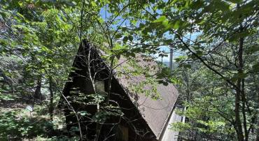 198 HOODS POINT RD, BASYE, Virginia 22810, 3 Bedrooms Bedrooms, 5 Rooms Rooms,2 BathroomsBathrooms,Residential,For sale,198 HOODS POINT RD,VASH2012208 MLS # VASH2012208