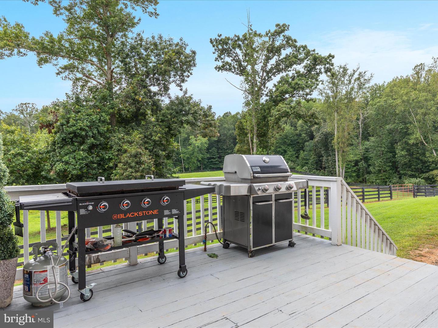 48 MADDOX LN, AMISSVILLE, Virginia 20106, 4 Bedrooms Bedrooms, ,3 BathroomsBathrooms,Residential,For sale,48 MADDOX LN,VARP2002232 MLS # VARP2002232