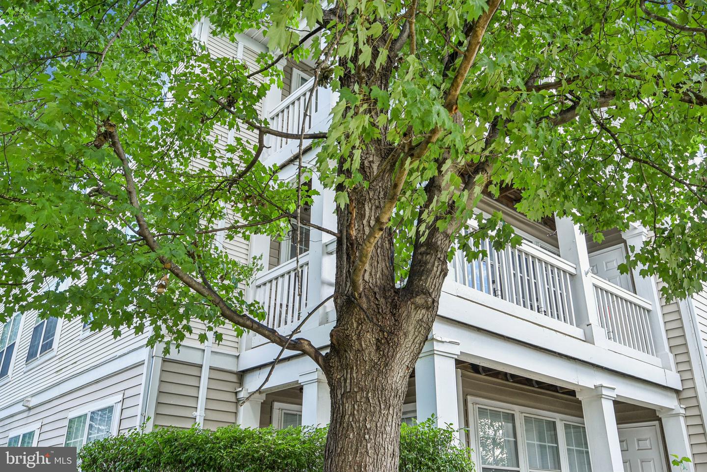 8107 LACY DR #201, MANASSAS, Virginia 20109, 2 Bedrooms Bedrooms, ,2 BathroomsBathrooms,Residential,For sale,8107 LACY DR #201,VAPW2102088 MLS # VAPW2102088
