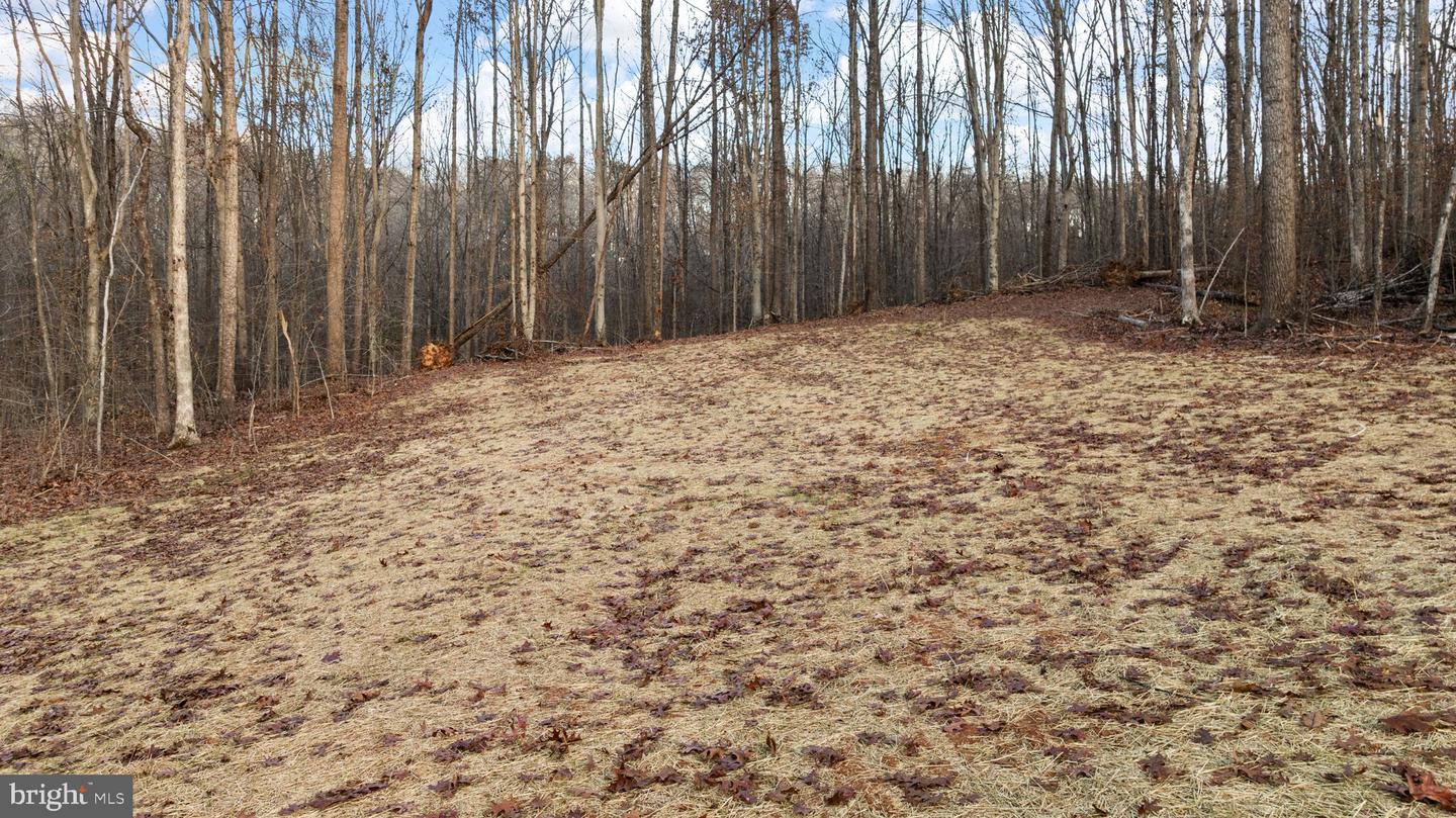 20373 BEAVER CREEK CT, LIGNUM, Virginia 22726, 4 Bedrooms Bedrooms, ,4 BathroomsBathrooms,Residential,For sale,20373 BEAVER CREEK CT,VACU2011404 MLS # VACU2011404