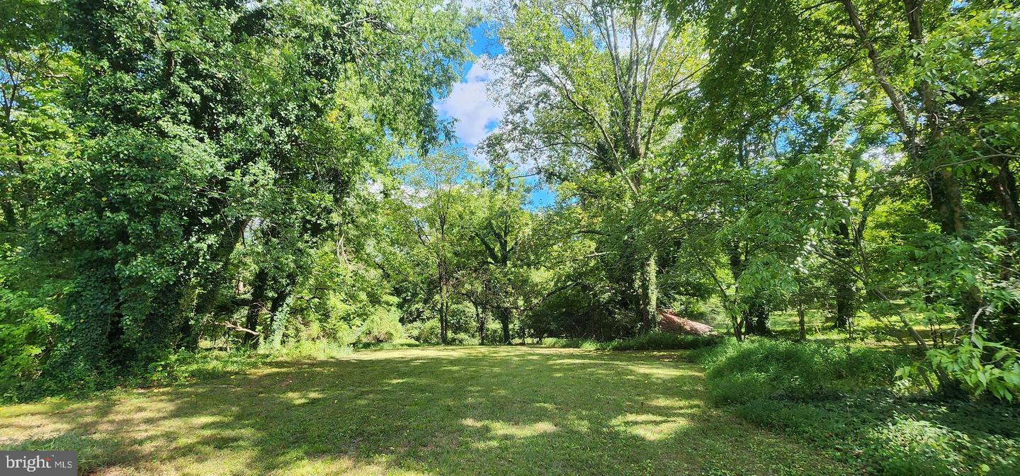 109 ELLISVILLE DR, LOUISA, Virginia 23093, 4 Bedrooms Bedrooms, ,2 BathroomsBathrooms,Residential,For sale,109 ELLISVILLE DR,VALA2008486 MLS # VALA2008486