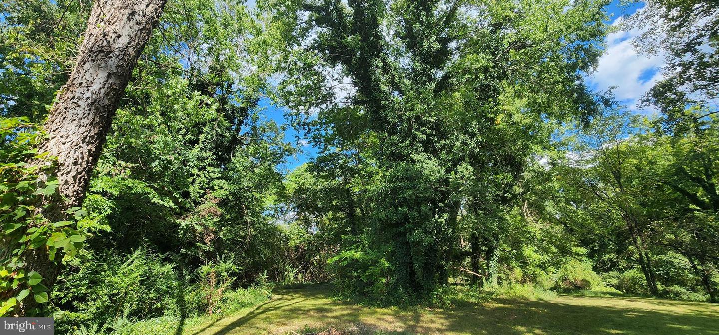 109 ELLISVILLE DR, LOUISA, Virginia 23093, 4 Bedrooms Bedrooms, ,2 BathroomsBathrooms,Residential,For sale,109 ELLISVILLE DR,VALA2008486 MLS # VALA2008486