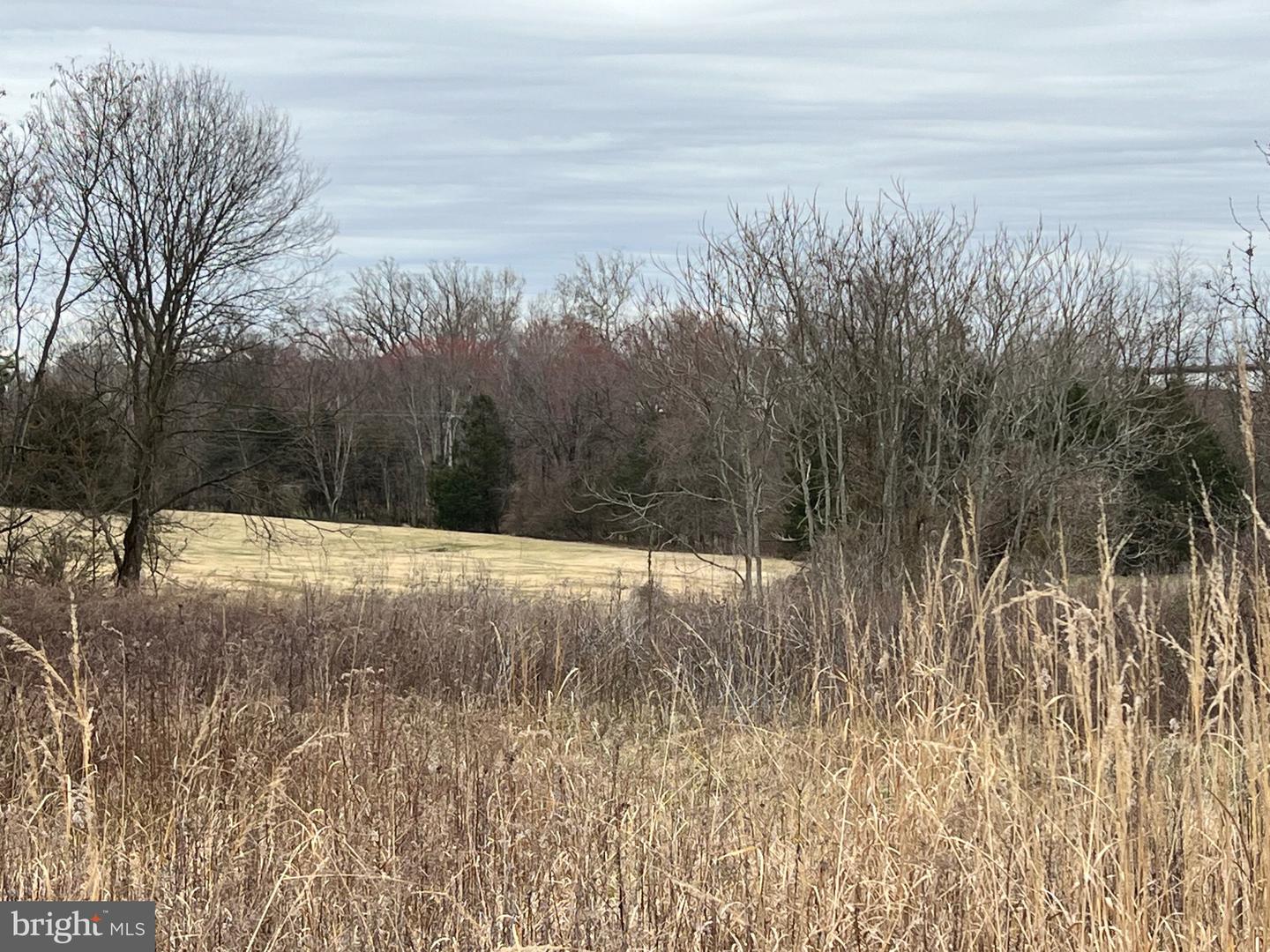 6485 S SEMINOLE TRAIL, ROCHELLE, Virginia 22738, ,Land,For sale,6485 S SEMINOLE TRAIL,VAMA2002426 MLS # VAMA2002426