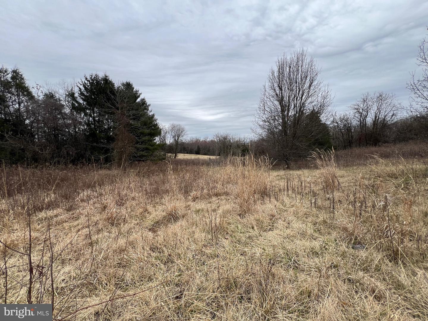 6485 S SEMINOLE TRAIL, ROCHELLE, Virginia 22738, ,Land,For sale,6485 S SEMINOLE TRAIL,VAMA2002426 MLS # VAMA2002426