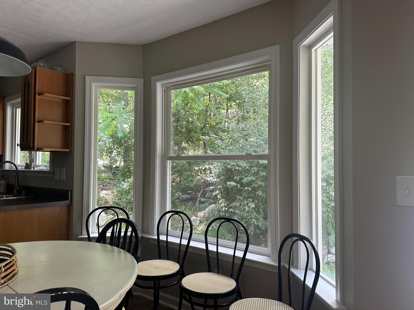 2395 HOPKINS DR, MCGAHEYSVILLE, Virginia 22840, 3 Bedrooms Bedrooms, ,2 BathroomsBathrooms,Residential,For sale,2395 HOPKINS DR,VARO2002542 MLS # VARO2002542