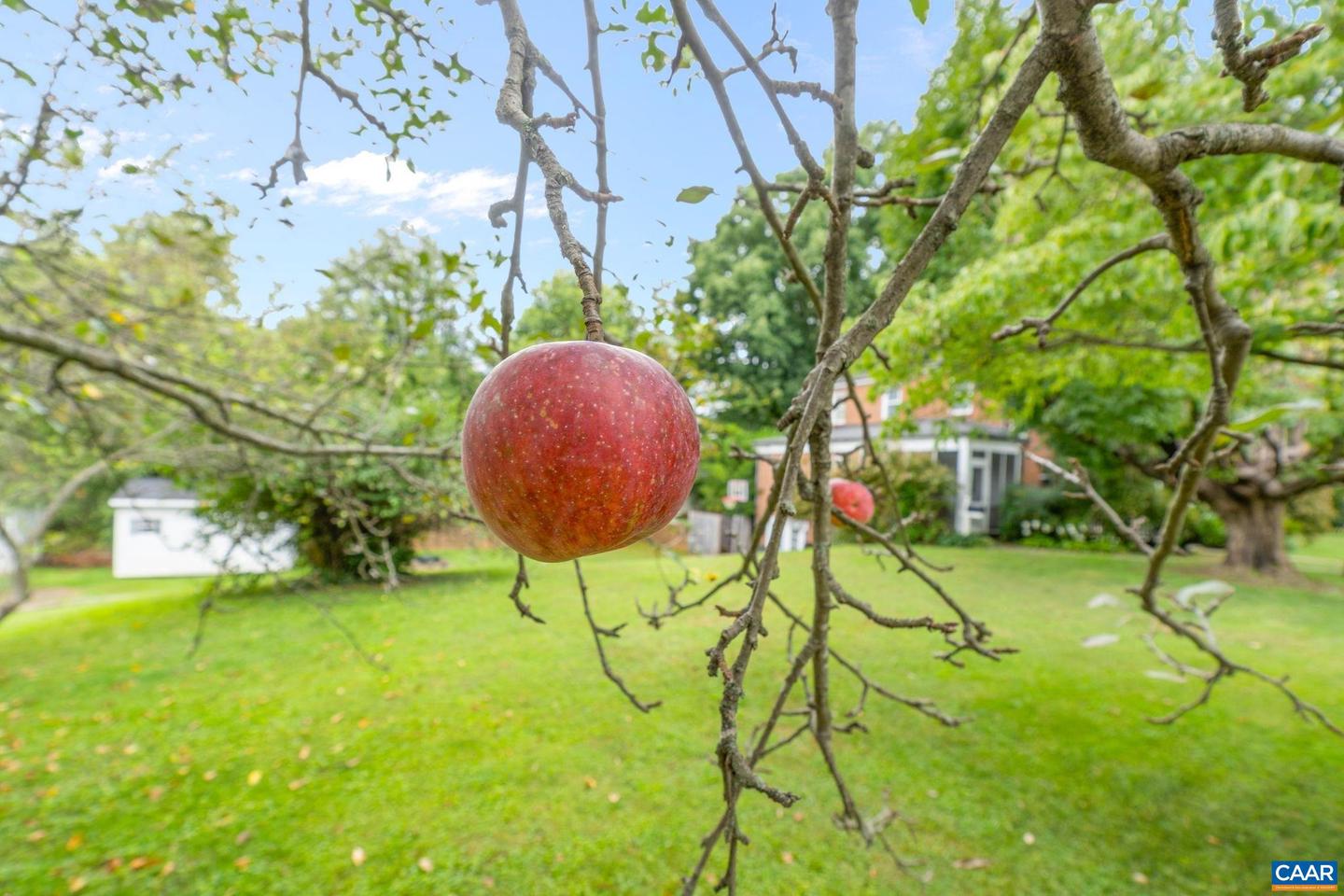 1500 RUGBY AVE, CHARLOTTESVILLE, Virginia 22903, 3 Bedrooms Bedrooms, ,2 BathroomsBathrooms,Residential,For sale,1500 RUGBY AVE,668391 MLS # 668391