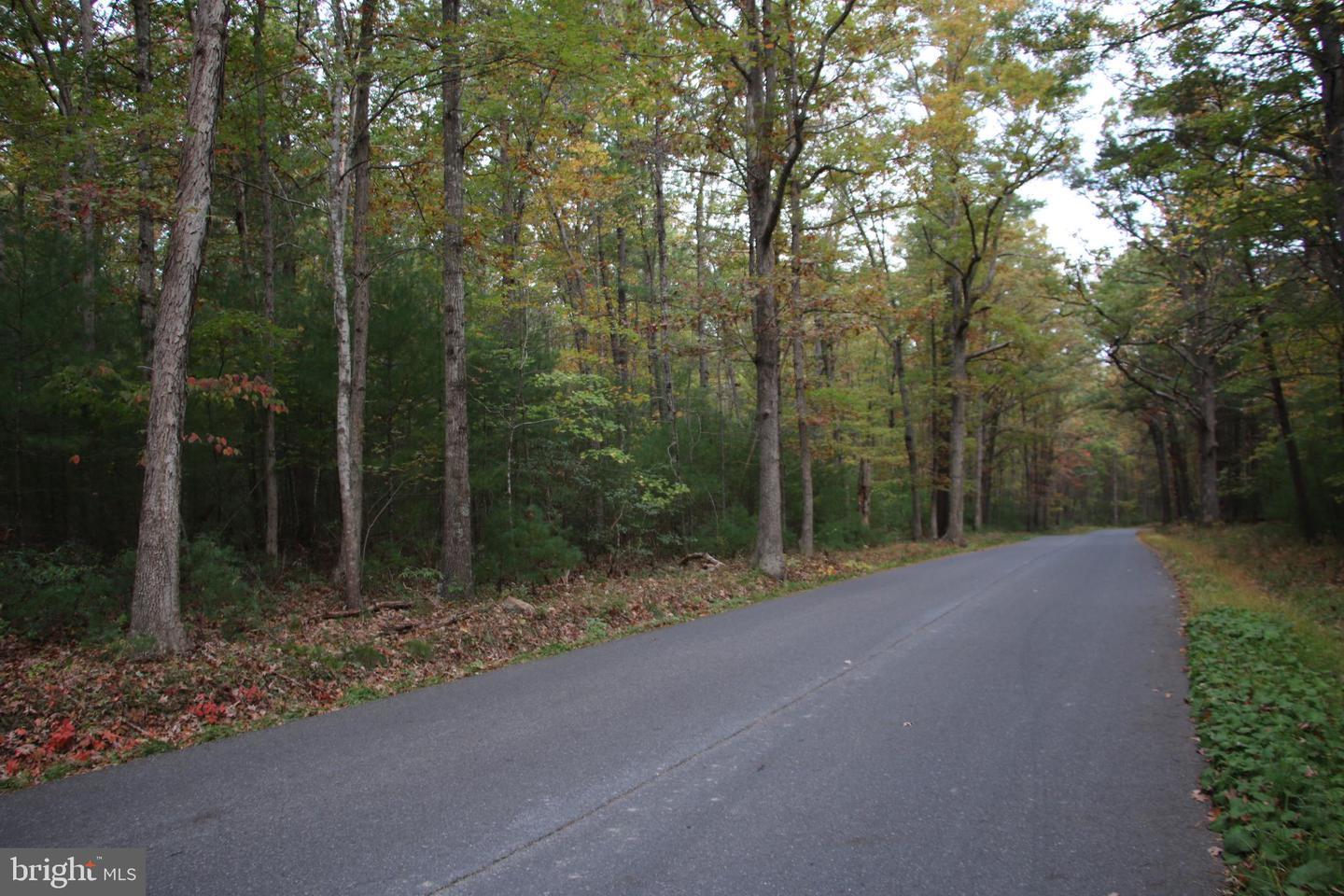 ALUM SPRINGS RD, BASYE, Virginia 22810, ,Land,For sale,ALUM SPRINGS RD,VASH2012324 MLS # VASH2012324