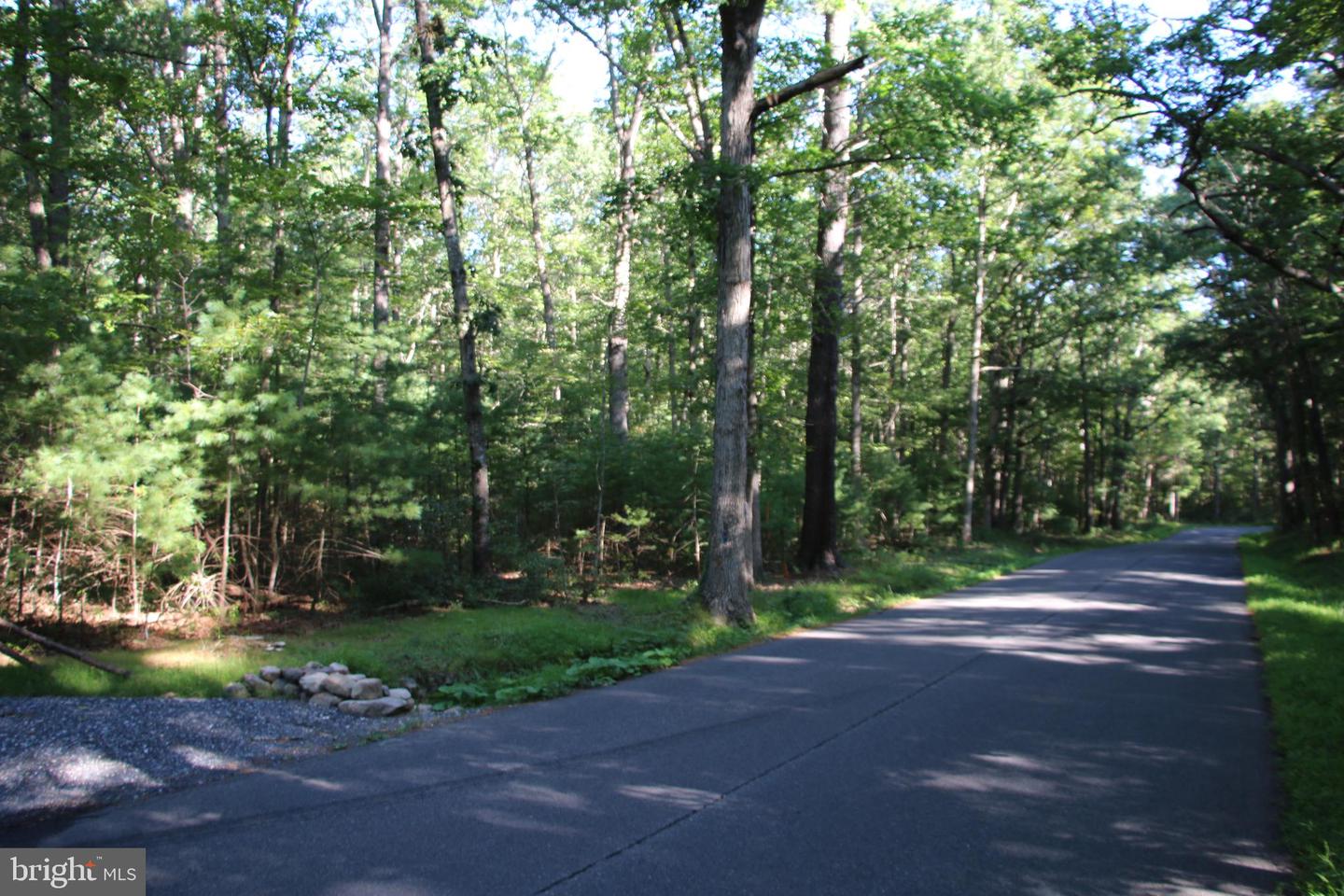 ALUM SPRINGS RD, BASYE, Virginia 22810, ,Land,For sale,ALUM SPRINGS RD,VASH2012324 MLS # VASH2012324