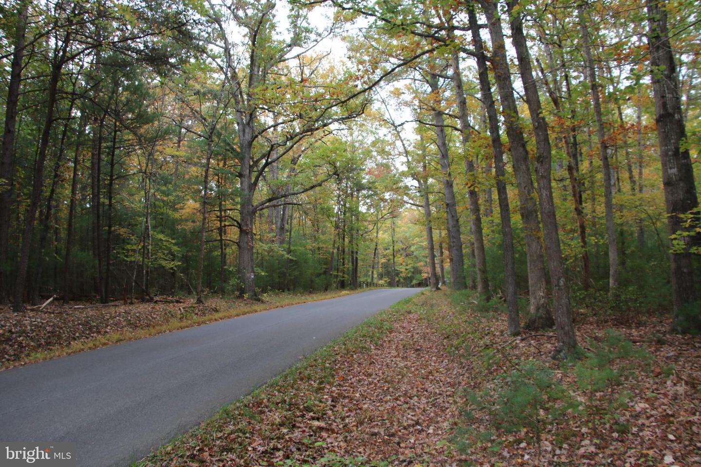 ALUM SPRINGS RD, BASYE, Virginia 22810, ,Land,For sale,ALUM SPRINGS RD,VASH2012324 MLS # VASH2012324