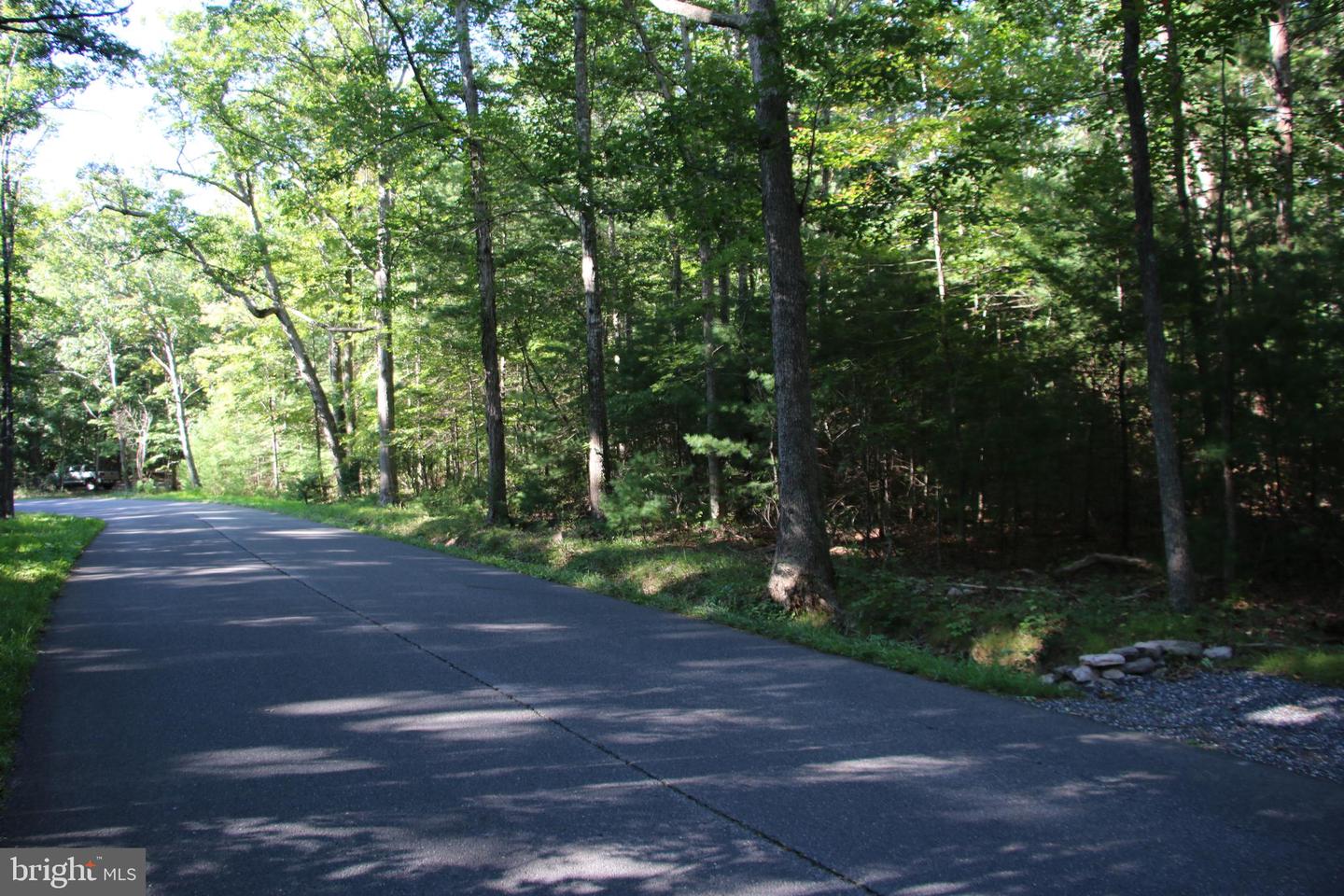 ALUM SPRINGS RD, BASYE, Virginia 22810, ,Land,For sale,ALUM SPRINGS RD,VASH2012324 MLS # VASH2012324