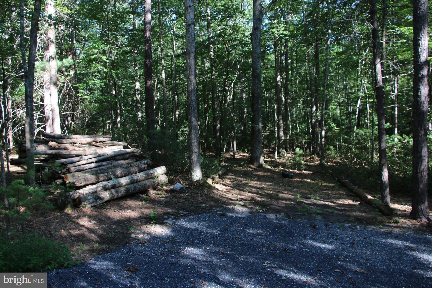 ALUM SPRINGS RD, BASYE, Virginia 22810, ,Land,For sale,ALUM SPRINGS RD,VASH2012324 MLS # VASH2012324