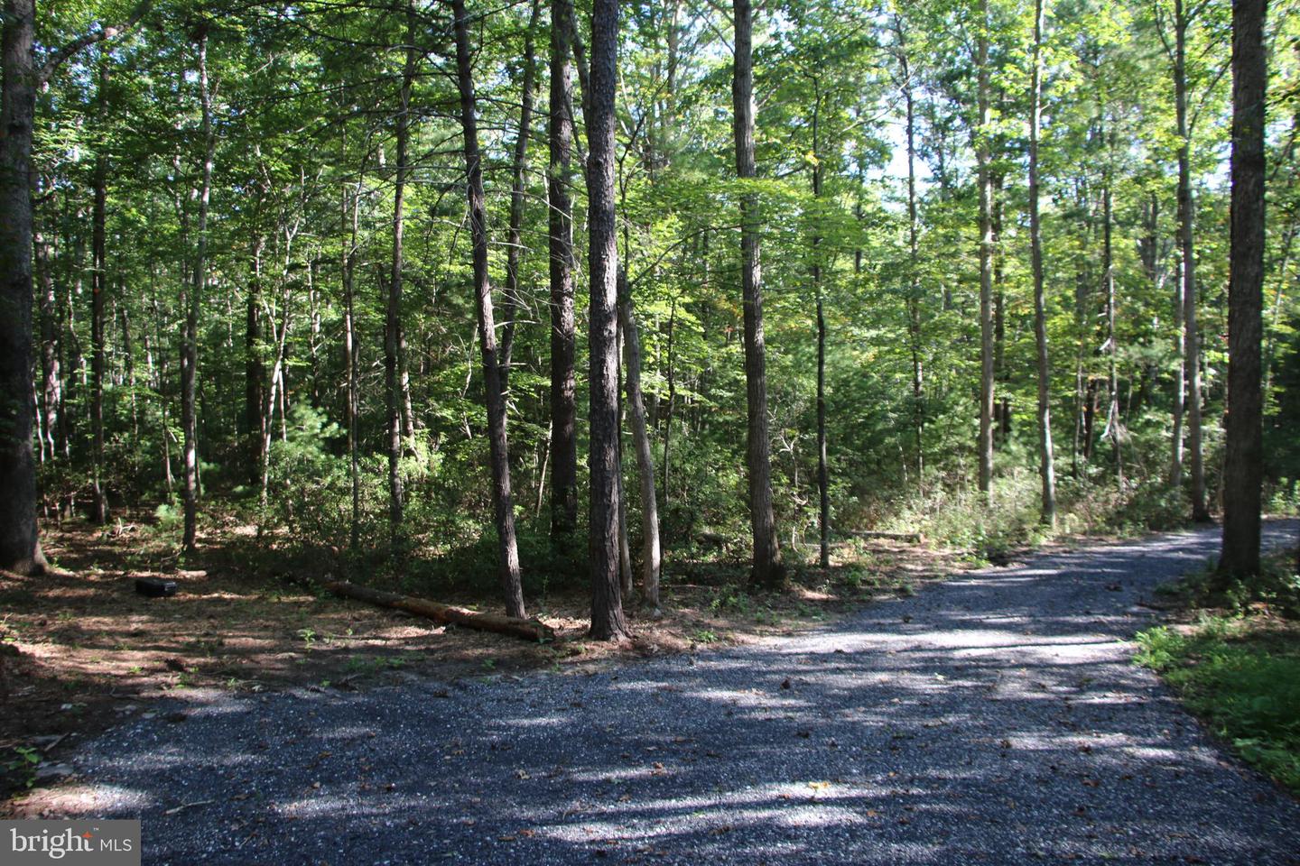 ALUM SPRINGS RD, BASYE, Virginia 22810, ,Land,For sale,ALUM SPRINGS RD,VASH2012324 MLS # VASH2012324