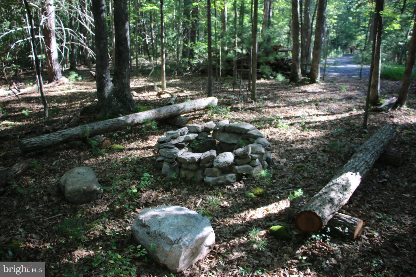 ALUM SPRINGS RD, BASYE, Virginia 22810, ,Land,For sale,ALUM SPRINGS RD,VASH2012324 MLS # VASH2012324
