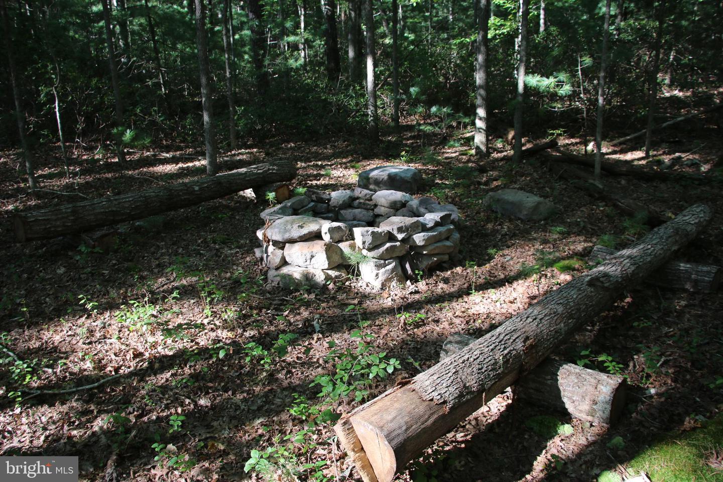 ALUM SPRINGS RD, BASYE, Virginia 22810, ,Land,For sale,ALUM SPRINGS RD,VASH2012324 MLS # VASH2012324