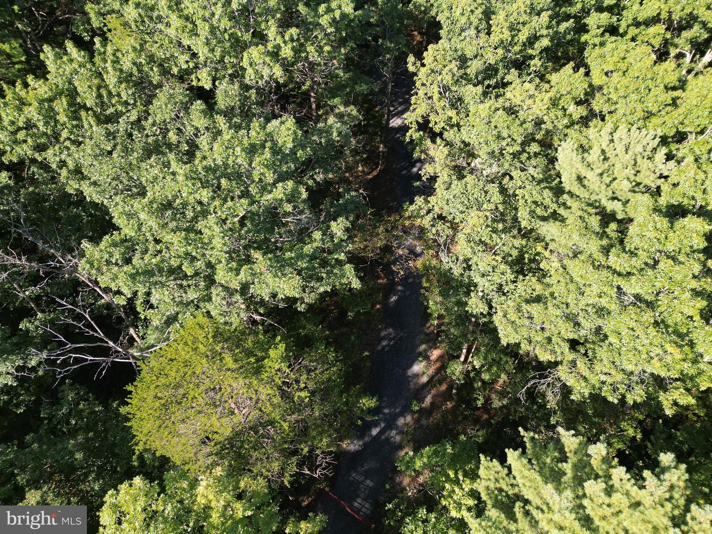 ALUM SPRINGS RD, BASYE, Virginia 22810, ,Land,For sale,ALUM SPRINGS RD,VASH2012324 MLS # VASH2012324