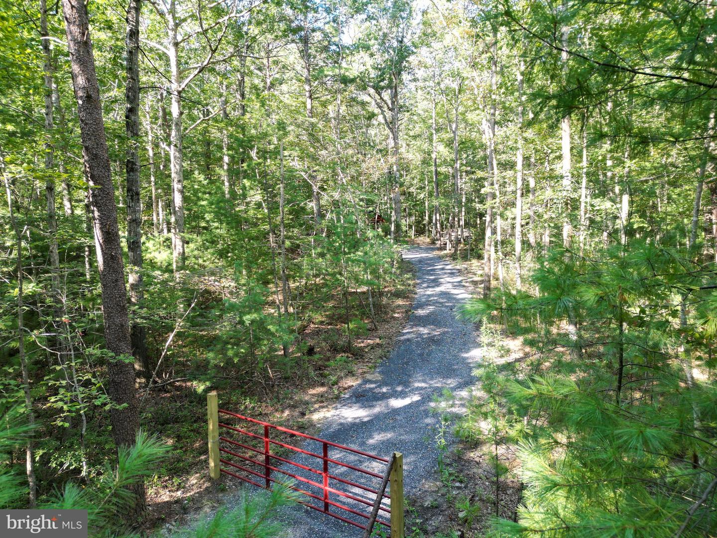 ALUM SPRINGS RD, BASYE, Virginia 22810, ,Land,For sale,ALUM SPRINGS RD,VASH2012324 MLS # VASH2012324