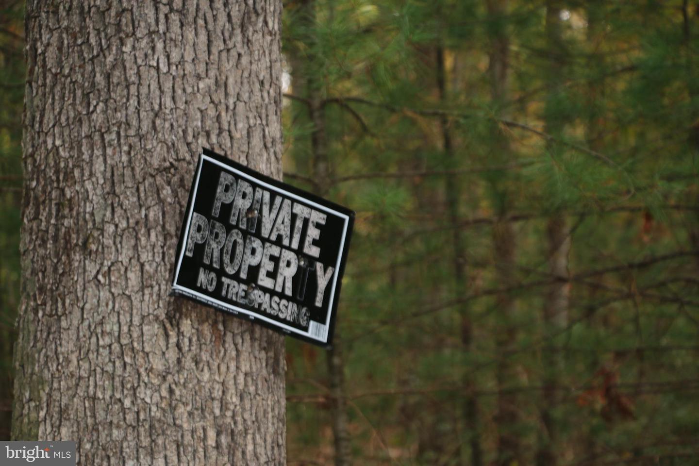 ALUM SPRINGS RD, BASYE, Virginia 22810, ,Land,For sale,ALUM SPRINGS RD,VASH2012324 MLS # VASH2012324