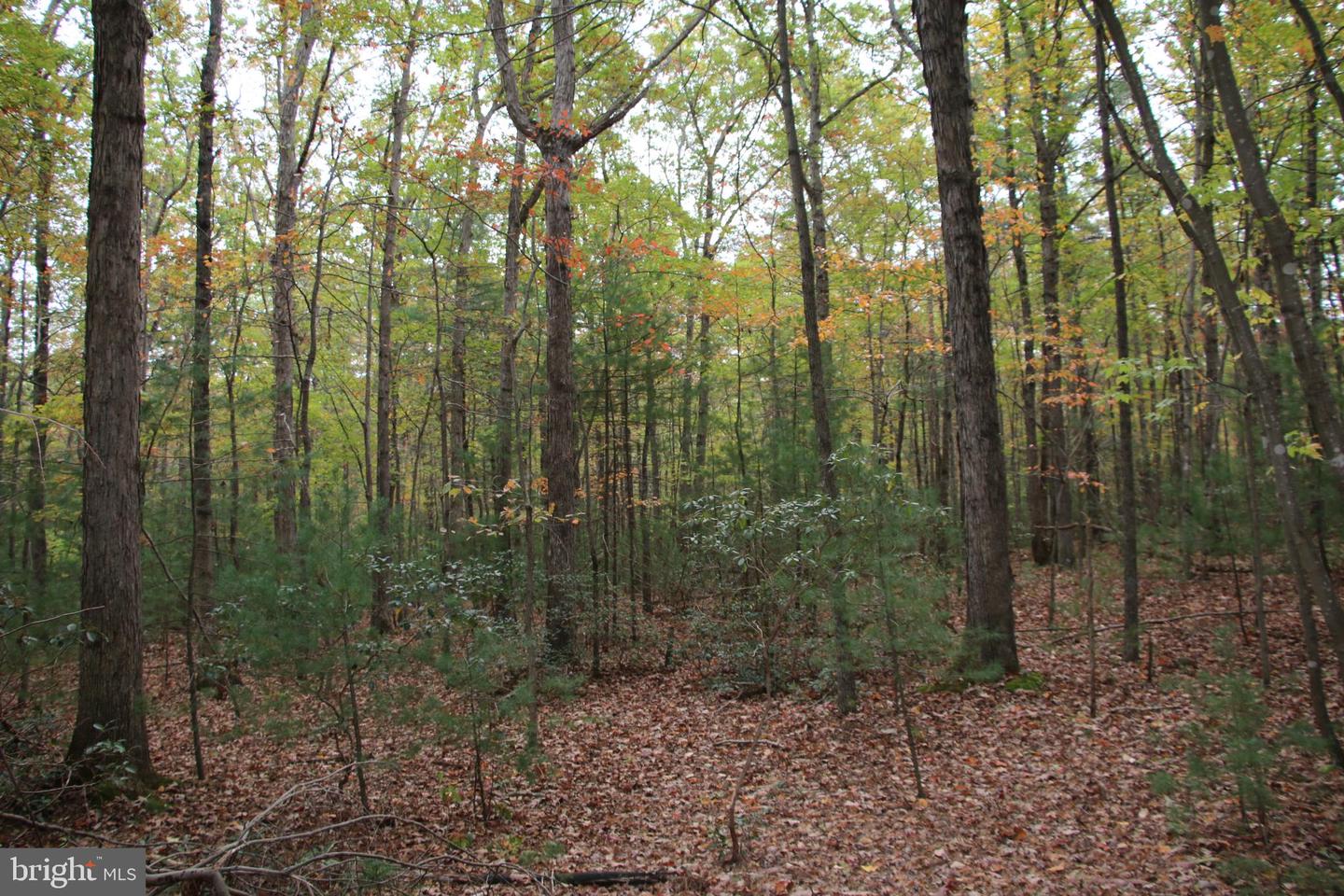 ALUM SPRINGS RD, BASYE, Virginia 22810, ,Land,For sale,ALUM SPRINGS RD,VASH2012324 MLS # VASH2012324