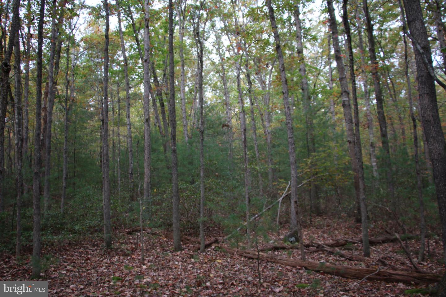 ALUM SPRINGS RD, BASYE, Virginia 22810, ,Land,For sale,ALUM SPRINGS RD,VASH2012324 MLS # VASH2012324