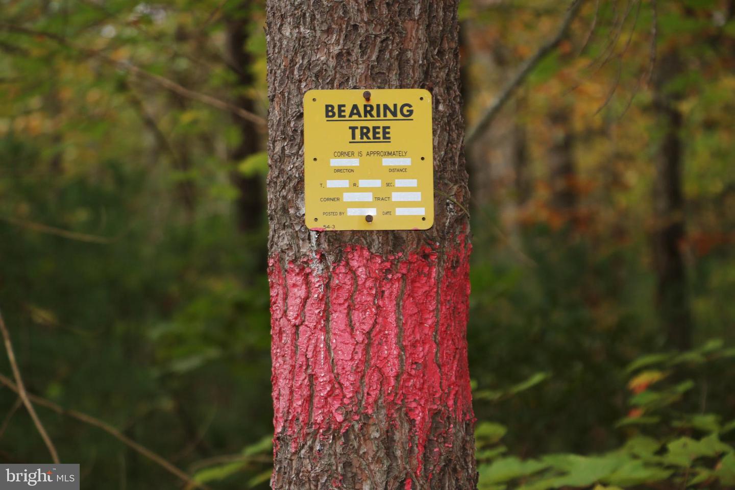 ALUM SPRINGS RD, BASYE, Virginia 22810, ,Land,For sale,ALUM SPRINGS RD,VASH2012324 MLS # VASH2012324