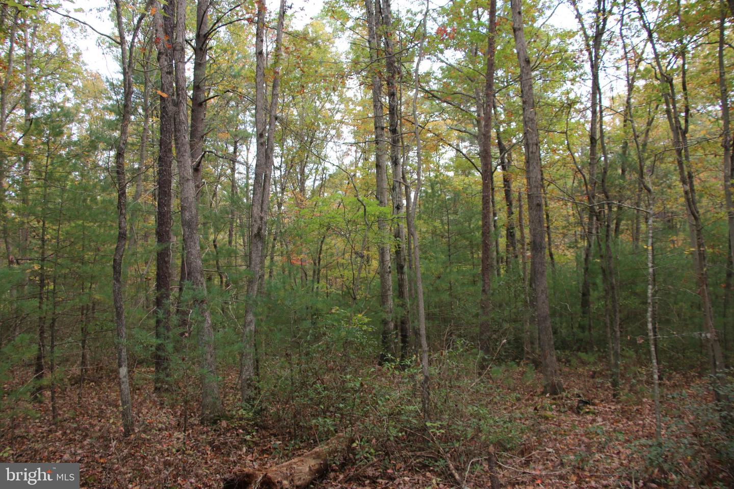 ALUM SPRINGS RD, BASYE, Virginia 22810, ,Land,For sale,ALUM SPRINGS RD,VASH2012324 MLS # VASH2012324