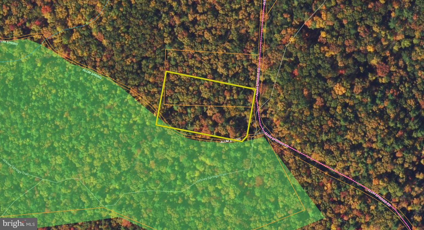 ALUM SPRINGS RD, BASYE, Virginia 22810, ,Land,For sale,ALUM SPRINGS RD,VASH2012324 MLS # VASH2012324
