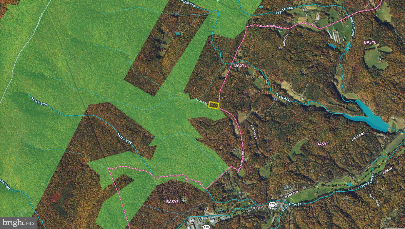 ALUM SPRINGS RD, BASYE, Virginia 22810, ,Land,For sale,ALUM SPRINGS RD,VASH2012324 MLS # VASH2012324