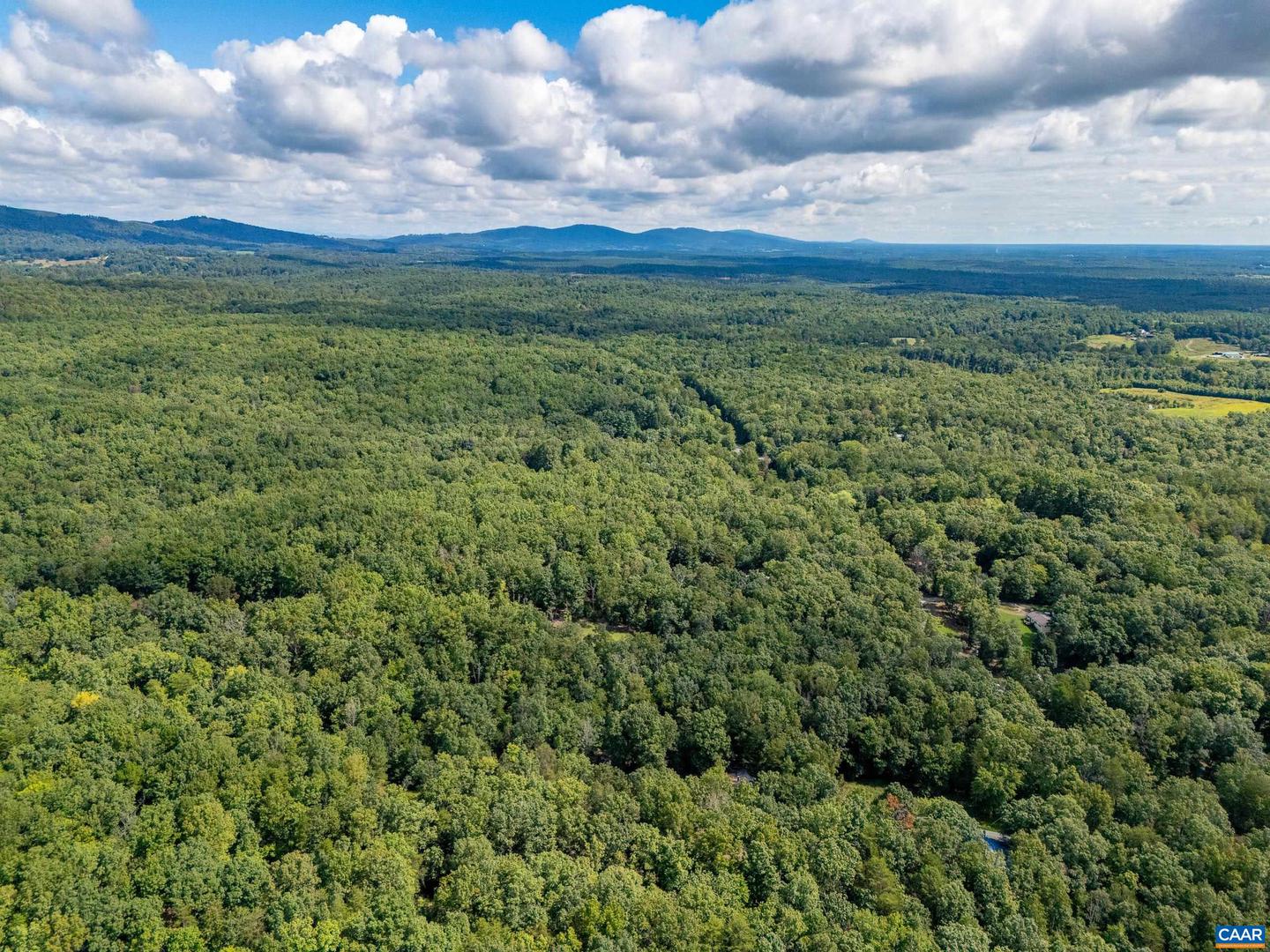 TBD PRESIDENTS RD, SCOTTSVILLE, Virginia 24590, ,Land,For sale,TBD PRESIDENTS RD,668329 MLS # 668329