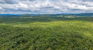 TBD PRESIDENTS RD, SCOTTSVILLE, Virginia 24590, ,Land,For sale,TBD PRESIDENTS RD,668329 MLS # 668329
