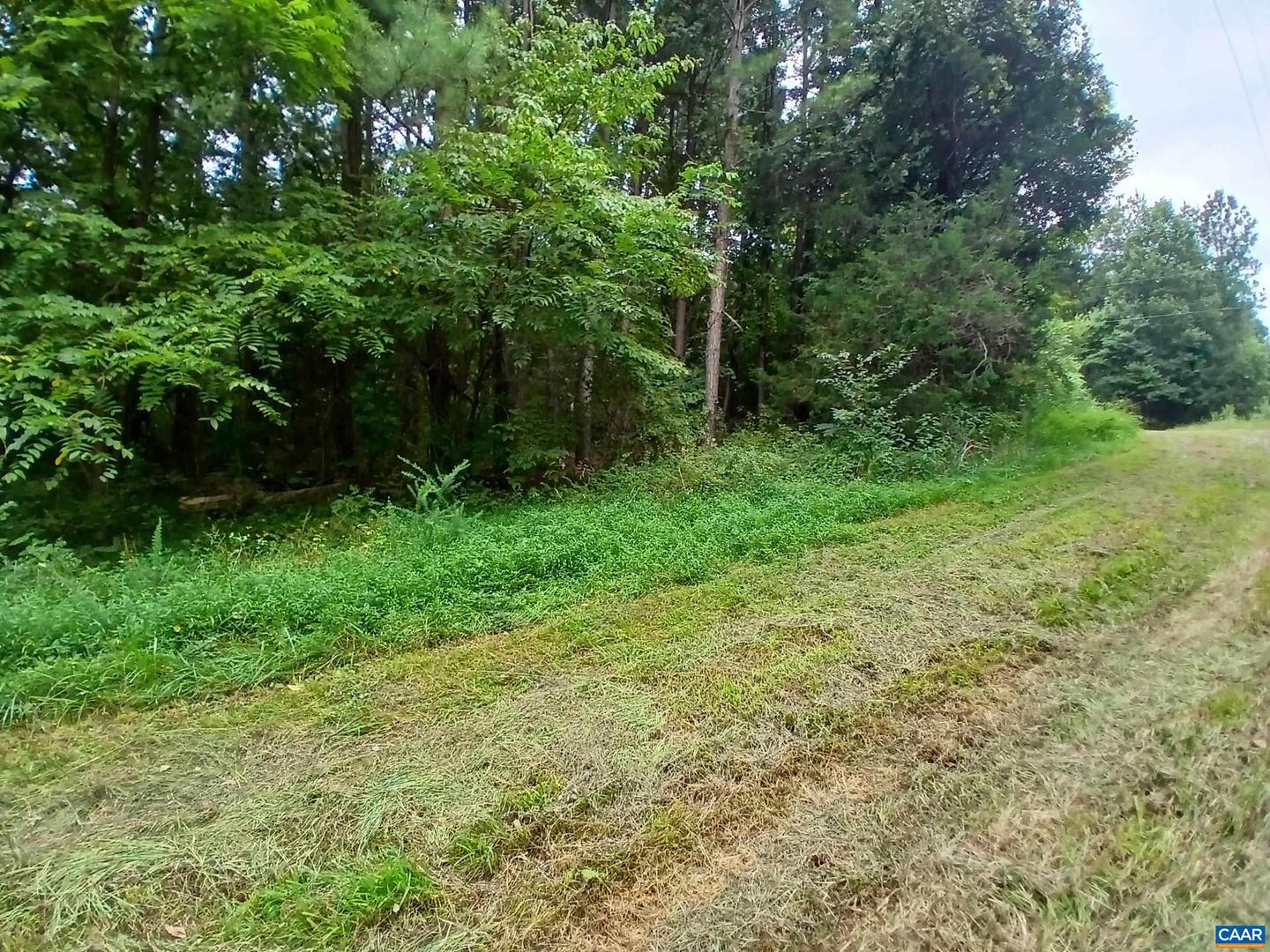 0 RANDOLPH CREEK RD, NEW CANTON, Virginia 23123, ,Land,For sale,0 RANDOLPH CREEK RD,668409 MLS # 668409