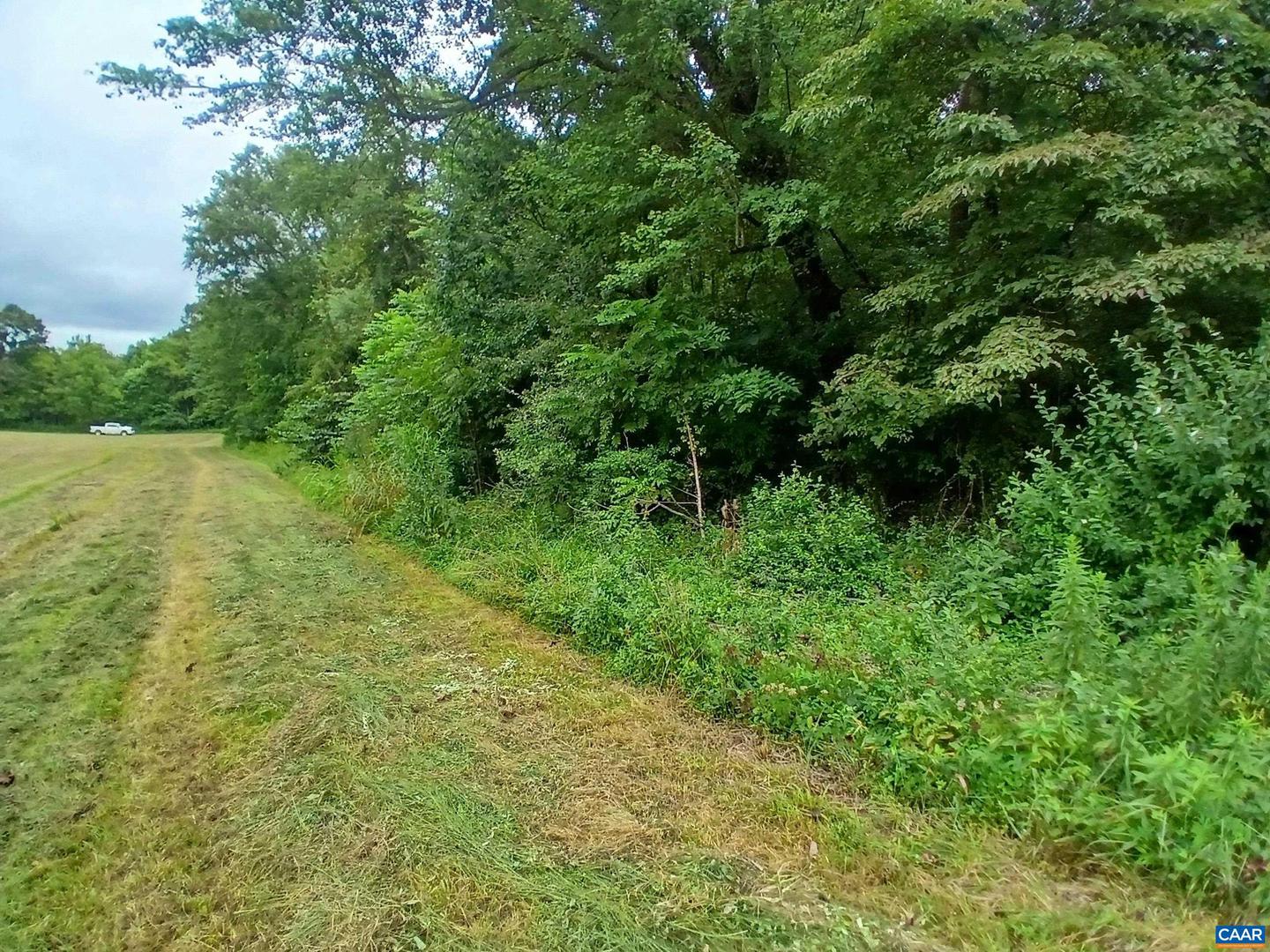0 RANDOLPH CREEK RD, NEW CANTON, Virginia 23123, ,Land,For sale,0 RANDOLPH CREEK RD,668409 MLS # 668409