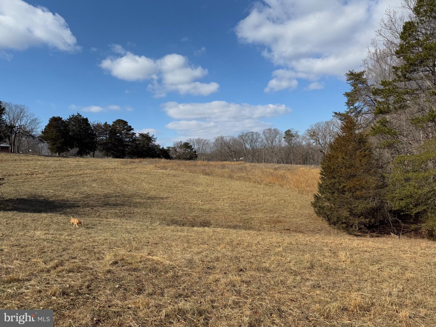 TBD 3 DEPOT RD, RUSTBURG, Virginia 24588, ,Land,For sale,TBD 3 DEPOT RD,VACP2000104 MLS # VACP2000104