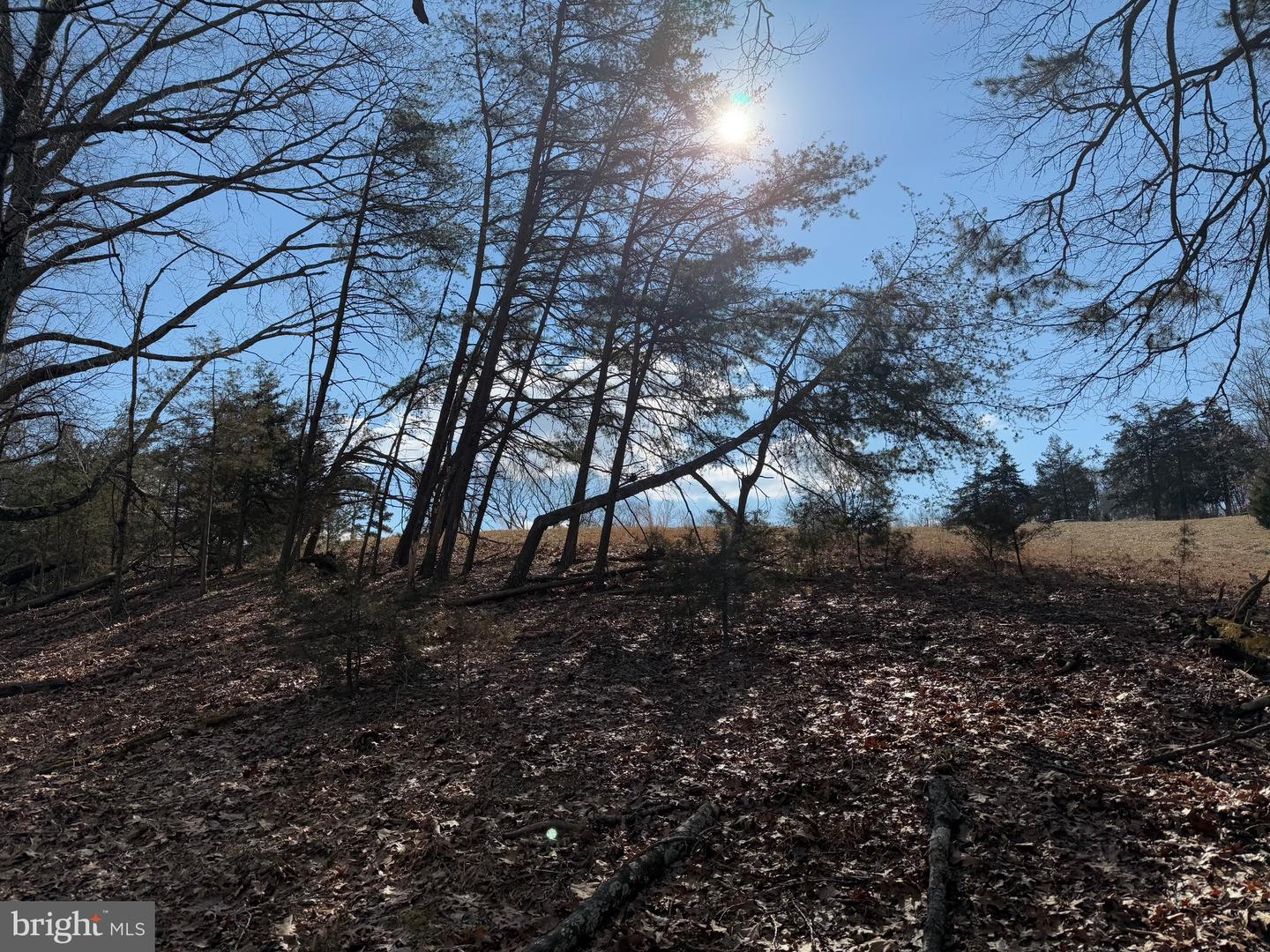 TBD 3 DEPOT RD, RUSTBURG, Virginia 24588, ,Land,For sale,TBD 3 DEPOT RD,VACP2000104 MLS # VACP2000104