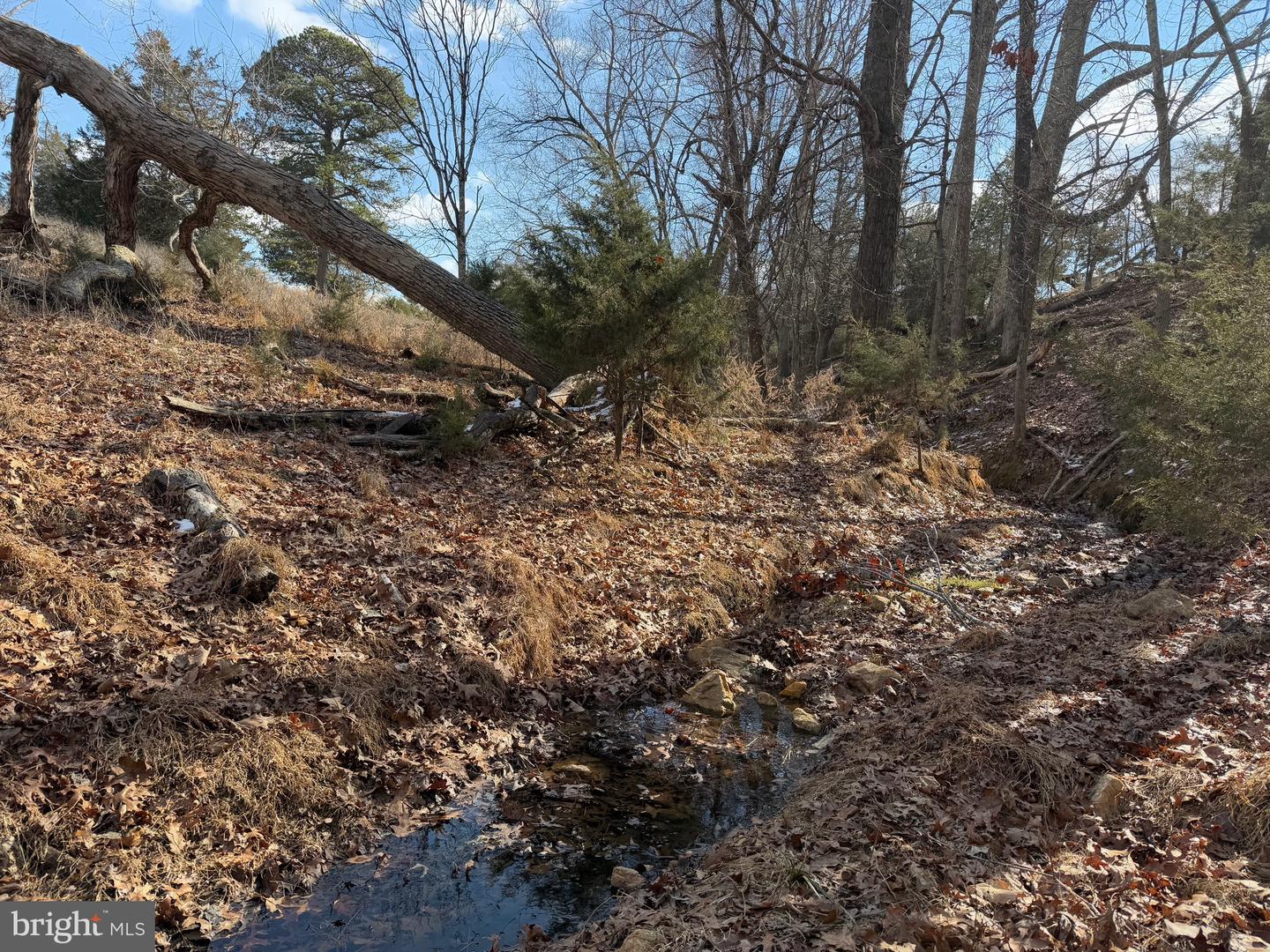 TBD 3 DEPOT RD, RUSTBURG, Virginia 24588, ,Land,For sale,TBD 3 DEPOT RD,VACP2000104 MLS # VACP2000104