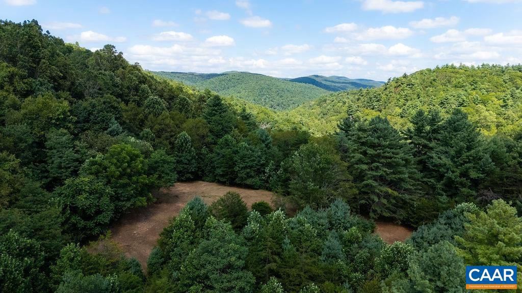 LOT 4 ZINKS MILL SCHOOL RD #4, MONTEBELLO, Virginia 24464, ,Land,For sale,LOT 4 ZINKS MILL SCHOOL RD #4,668433 MLS # 668433