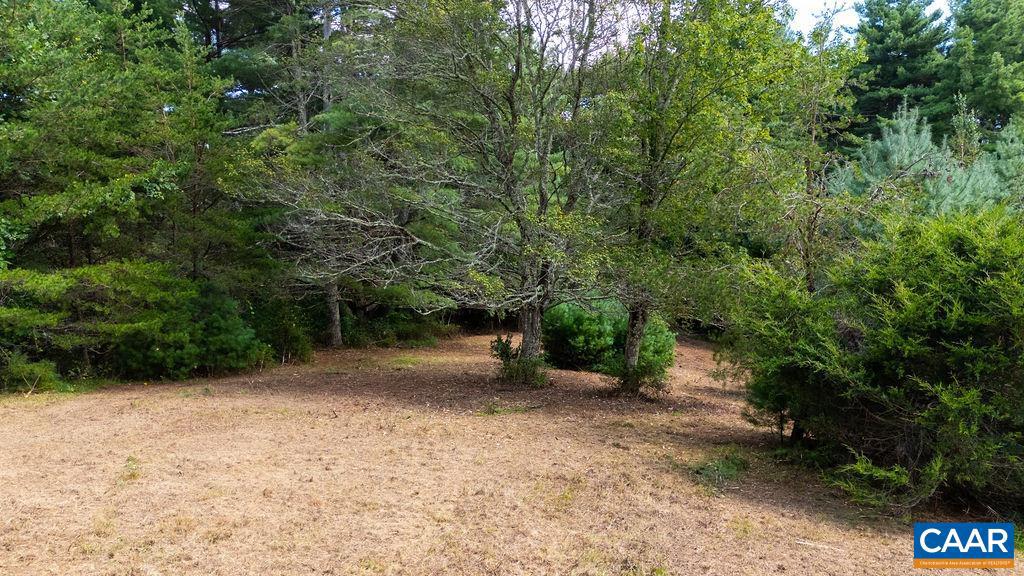 LOT 4 ZINKS MILL SCHOOL RD #4, MONTEBELLO, Virginia 24464, ,Land,For sale,LOT 4 ZINKS MILL SCHOOL RD #4,668433 MLS # 668433