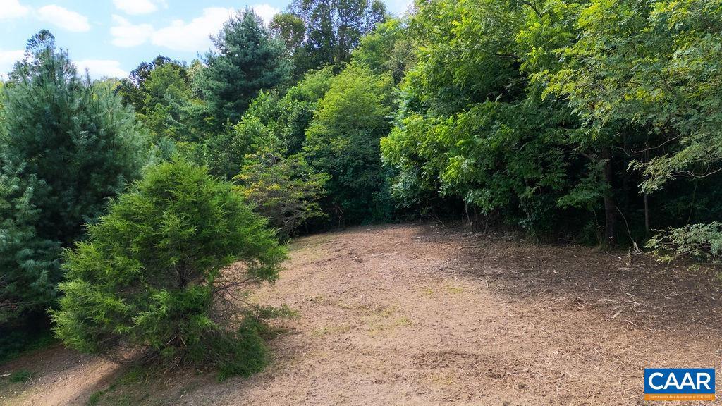 LOT 4 ZINKS MILL SCHOOL RD #4, MONTEBELLO, Virginia 24464, ,Land,For sale,LOT 4 ZINKS MILL SCHOOL RD #4,668433 MLS # 668433