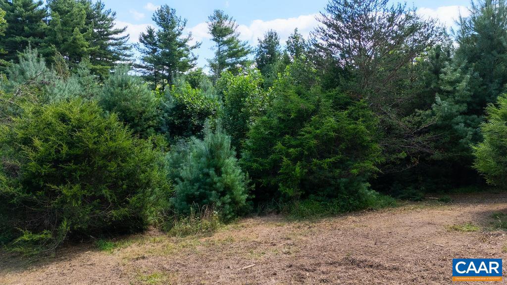 LOT 4 ZINKS MILL SCHOOL RD #4, MONTEBELLO, Virginia 24464, ,Land,For sale,LOT 4 ZINKS MILL SCHOOL RD #4,668433 MLS # 668433