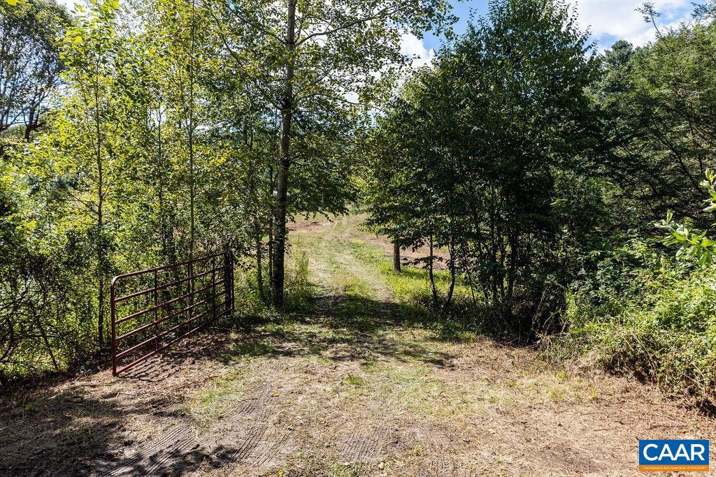 LOT 4 ZINKS MILL SCHOOL RD #4, MONTEBELLO, Virginia 24464, ,Land,For sale,LOT 4 ZINKS MILL SCHOOL RD #4,668433 MLS # 668433