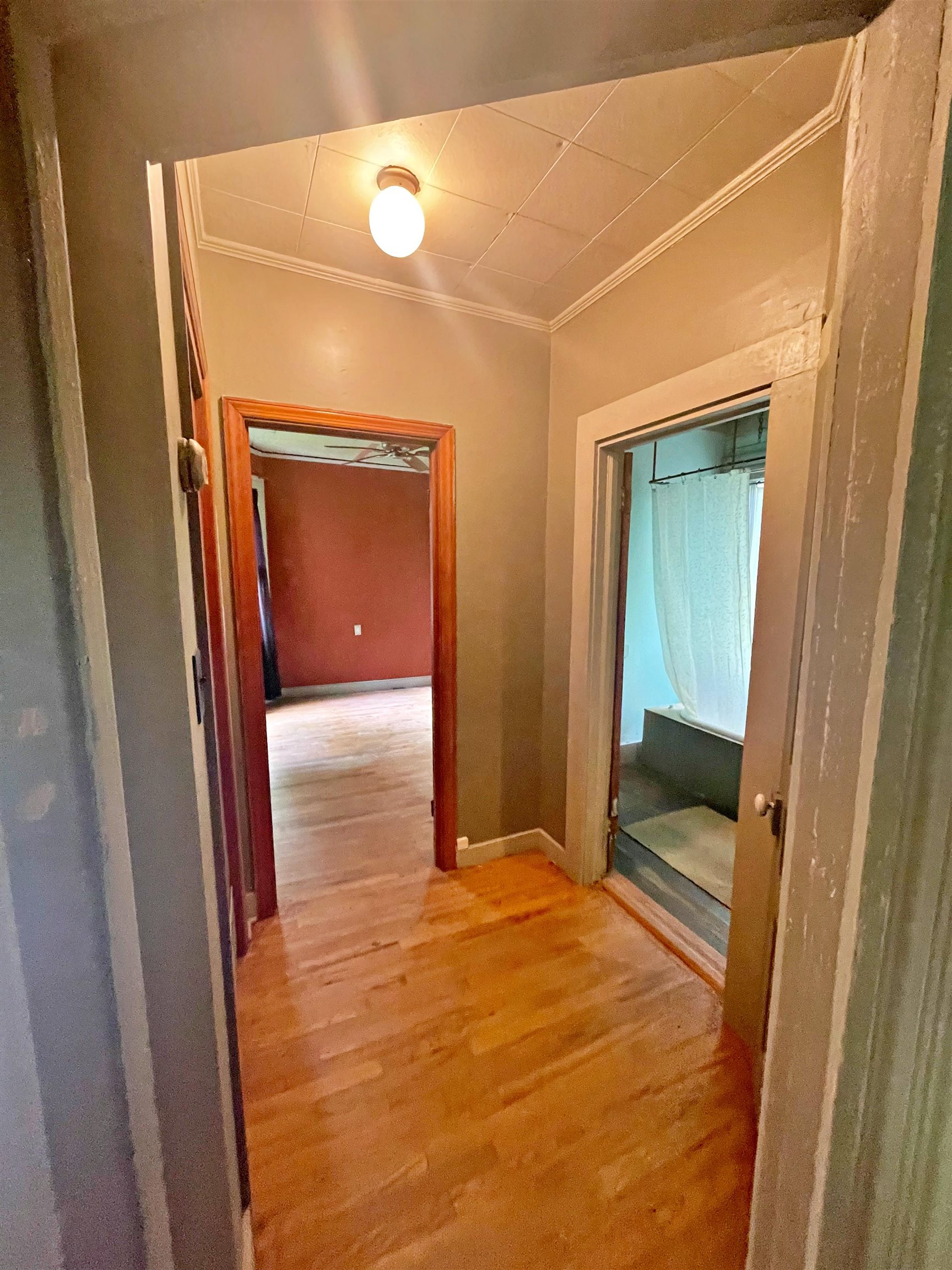 9264 SCHUYLER RD, SCHUYLER, Virginia 22969, 4 Bedrooms Bedrooms, ,1 BathroomBathrooms,Residential,Fiddlers Cove,9264 SCHUYLER RD,665351 MLS # 665351