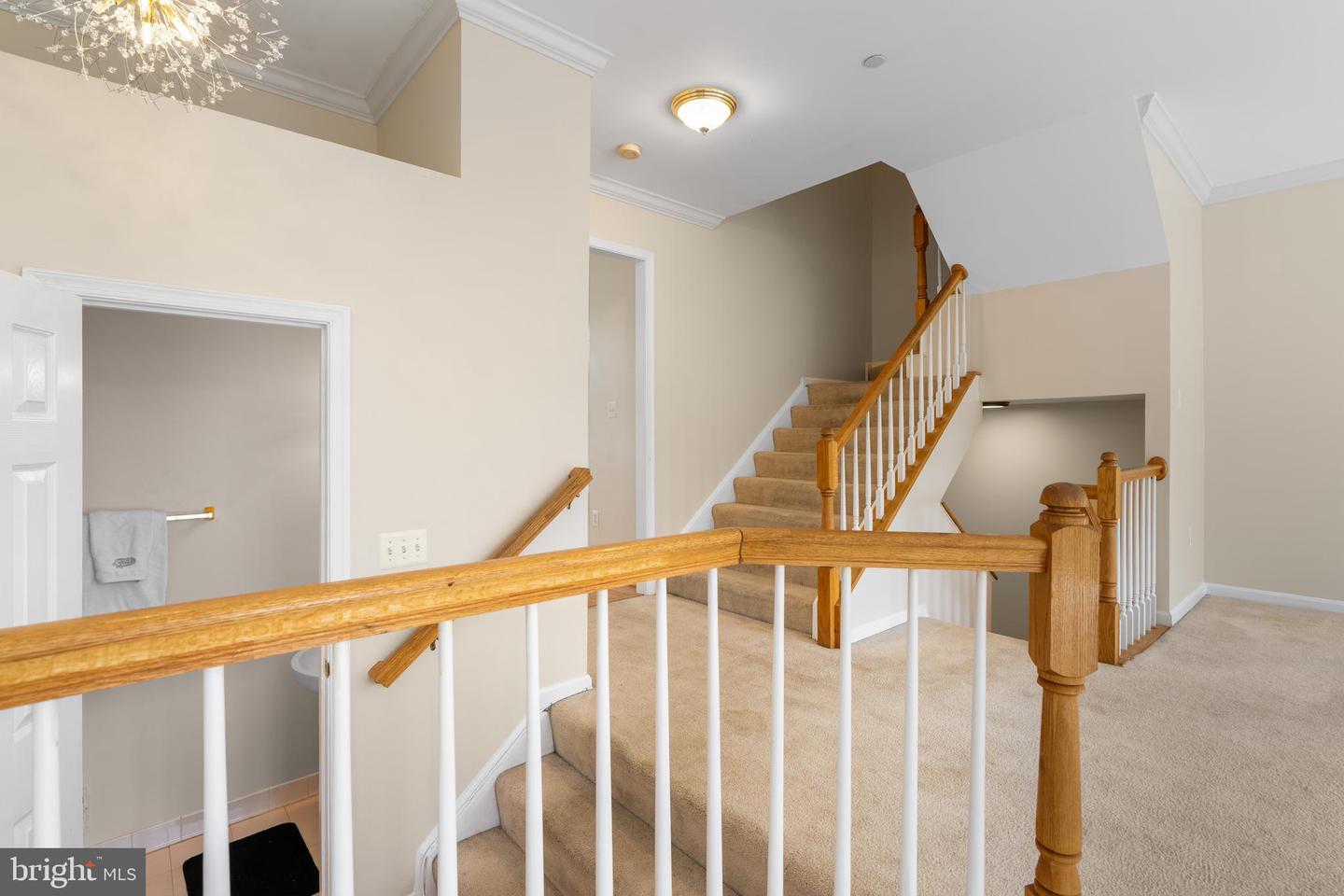 417 CLAYTON LN, ALEXANDRIA, Virginia 22304, 3 Bedrooms Bedrooms, ,3 BathroomsBathrooms,Residential,For sale,417 CLAYTON LN,VAAX2047908 MLS # VAAX2047908
