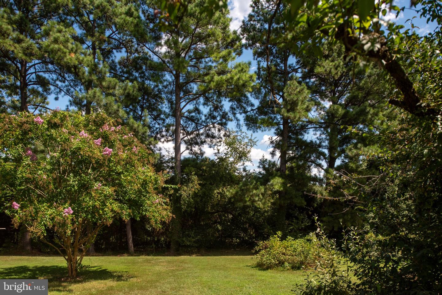 1225 WOODSTOCK RD, KING GEORGE, Virginia 22485, 3 Bedrooms Bedrooms, ,2 BathroomsBathrooms,Residential,For sale,1225 WOODSTOCK RD,VAKG2006916 MLS # VAKG2006916