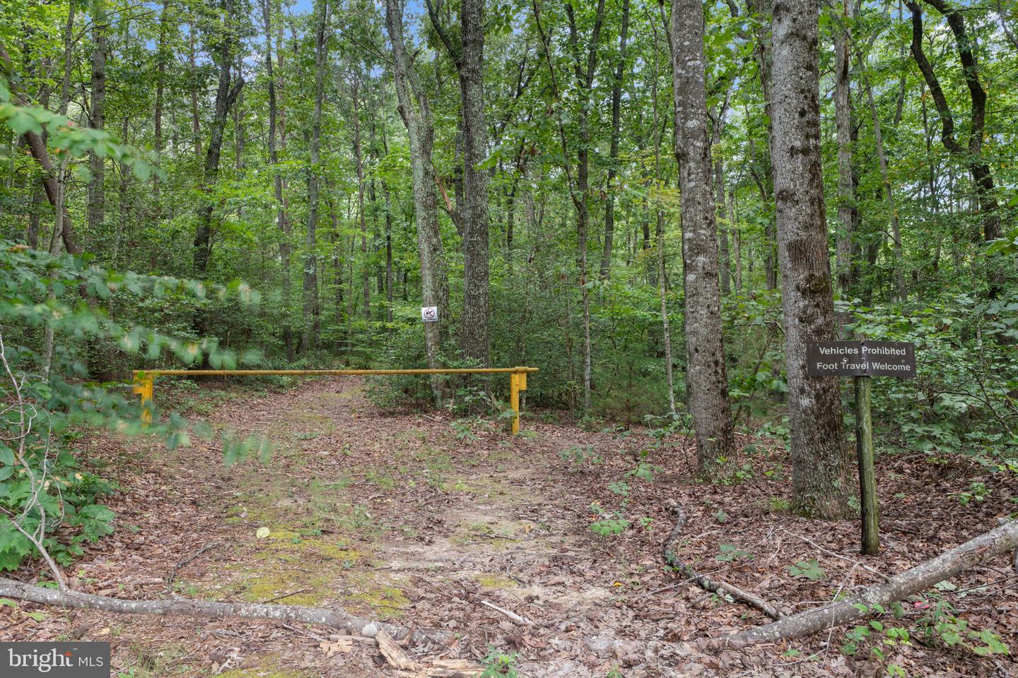 5762 SUMERDUCK RD, SUMERDUCK, Virginia 22742, 3 Bedrooms Bedrooms, ,2 BathroomsBathrooms,Residential,For sale,5762 SUMERDUCK RD,VAFQ2018030 MLS # VAFQ2018030