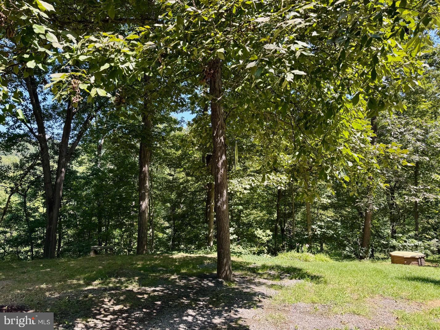 374 BOYERS MILL LN, MIDDLETOWN, Virginia 22645, 3 Bedrooms Bedrooms, 12 Rooms Rooms,2 BathroomsBathrooms,Residential,For sale,374 BOYERS MILL LN,VAFV2036450 MLS # VAFV2036450