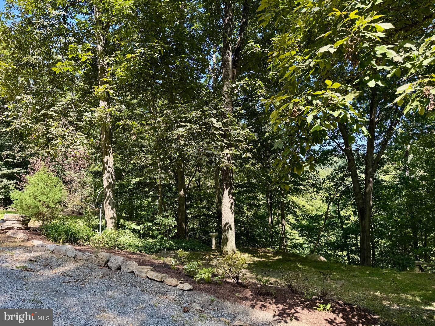 374 BOYERS MILL LN, MIDDLETOWN, Virginia 22645, 3 Bedrooms Bedrooms, 12 Rooms Rooms,2 BathroomsBathrooms,Residential,For sale,374 BOYERS MILL LN,VAFV2036450 MLS # VAFV2036450